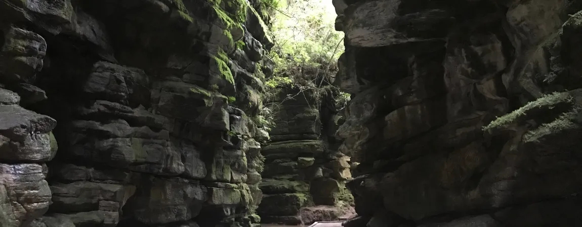 Jardim Botânico de Curitiba