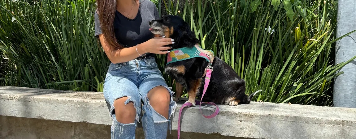 Jardim Botânico de Curitiba