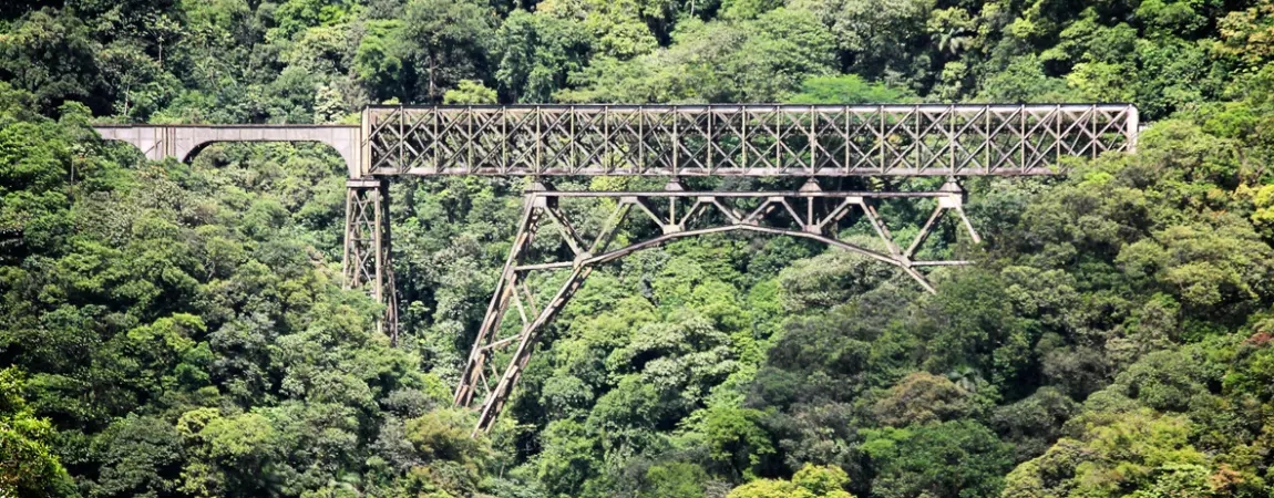 Jardim Botânico de Curitiba