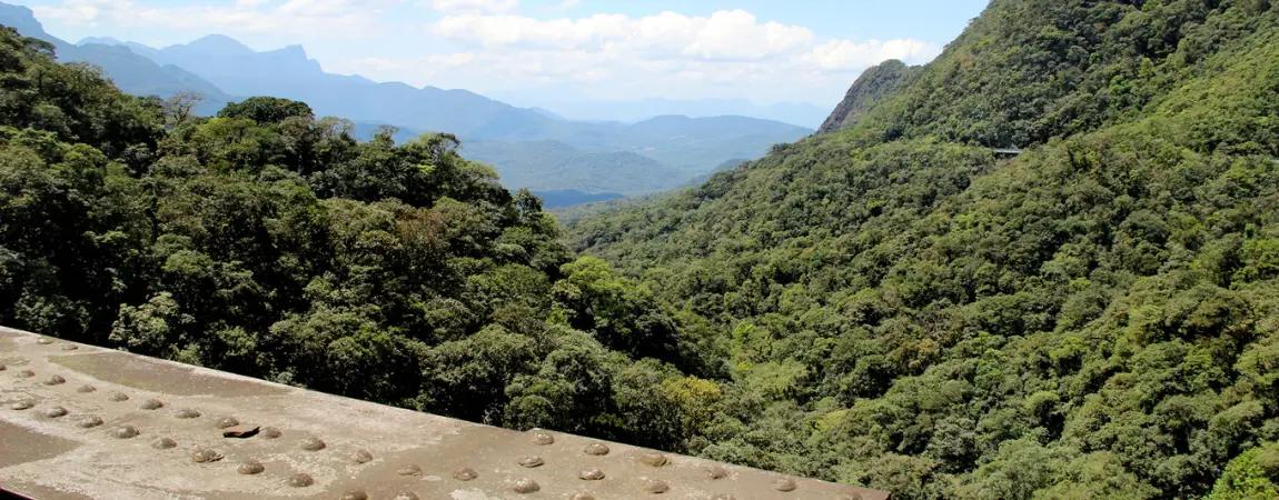 Passeios de Trem - Opções Boutique