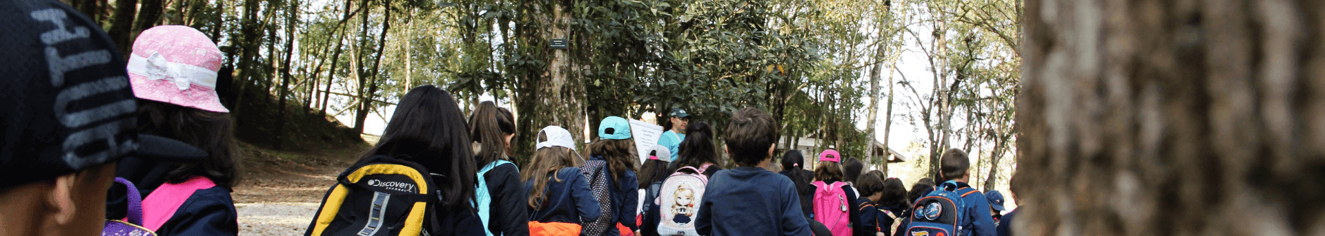 Banner - Turismo Pedagógico